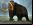 Mamut vivo: Solo 10 millones de dólares Mamut vivo: Solo 10 millones de dólares
